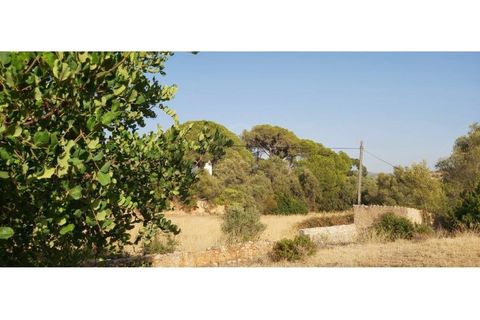 Helårsgrund i Paderne, Faro, Paderne - € 160.000 | Ref: 00/T/19064 - foto 31