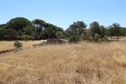 Helårsgrund i Paderne, Faro, Paderne - € 160.000 | Ref: 00/T/19064 - foto 34