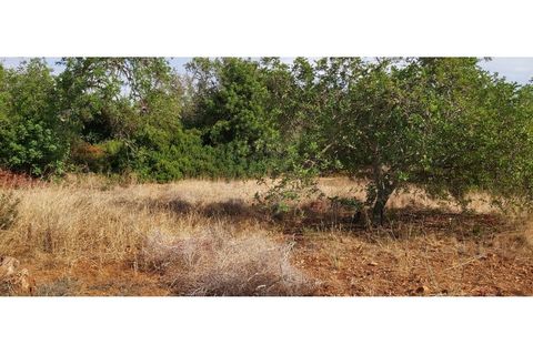Helårsgrund i Albufeira, Faro, Albufeira - € 299.000 | Ref: 00/T/18903 - foto 9