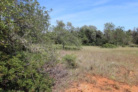Helårsgrund i Albufeira, Faro, Albufeira - € 299.000 | Ref: 00/T/18903 - foto 5