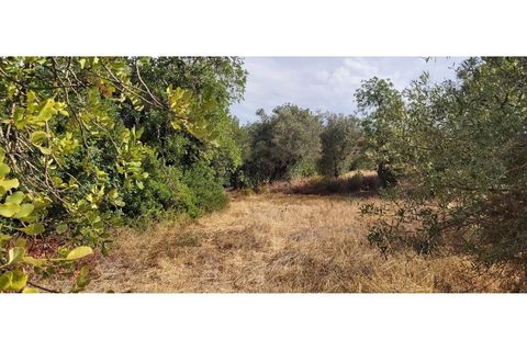 Helårsgrund i Albufeira, Faro, Albufeira - € 299.000 | Ref: 00/T/18903 - foto 10
