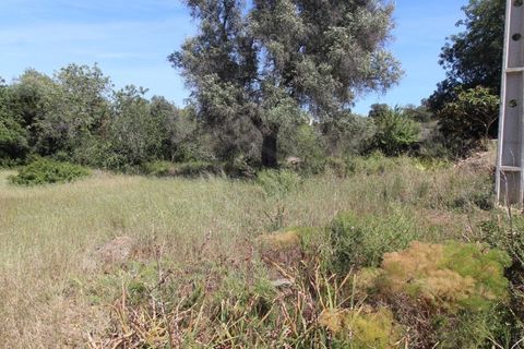 Helårsgrund i Albufeira, Faro, Albufeira - € 299.000 | Ref: 00/T/18903 - foto 7