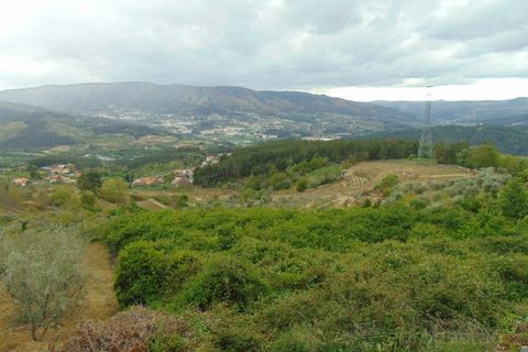 Landejendom i Tarouca, Viseu, Tarouca - € 45.500 | Ref: LMG_3604 - N - foto 9