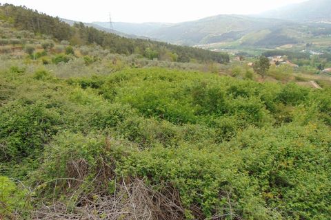Landejendom i Tarouca, Viseu, Tarouca - € 45.500 | Ref: LMG_3604 - N - foto 10