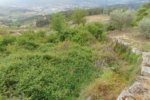 Landejendom i Tarouca, Viseu, Tarouca - € 45.500 | Ref: LMG_3604 - N - foto 11