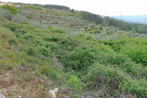 Landejendom i Tarouca, Viseu, Tarouca - € 45.500 | Ref: LMG_3604 - N - foto 12