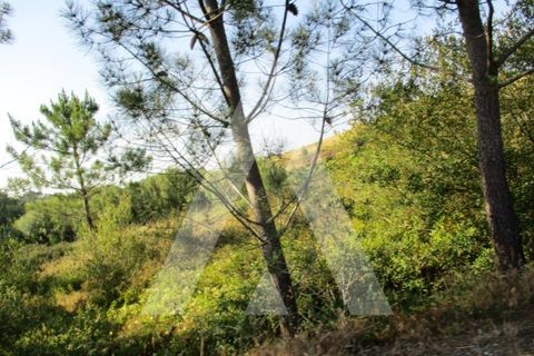 Helårsgrund i Aljezur, Faro, Aljezur - € 75.000 | Ref: 19963/16 AF - foto 3