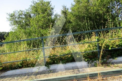 Helårsgrund i Aljezur, Faro, Aljezur - € 75.000 | Ref: 19963/16 AF - foto 5