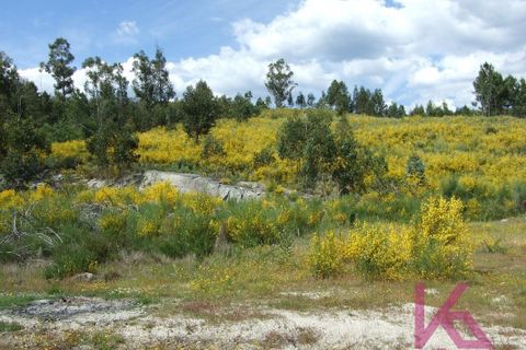 Helårsgrund i Amarante, Porto, Amarante - € 50.000 | Ref: 0574 - foto 2
