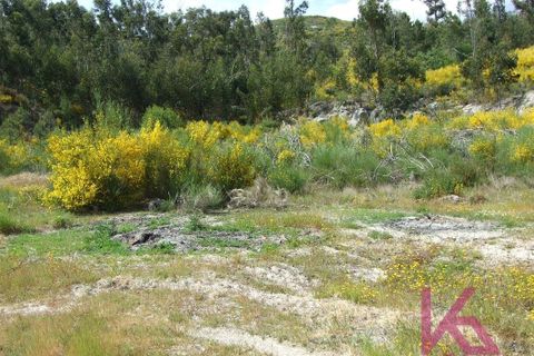 Helårsgrund i Amarante, Porto, Amarante - € 50.000 | Ref: 0574 - foto 3