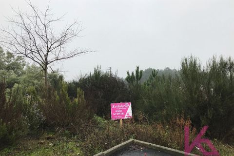 Terra a Sabrosa, Vila Real, Sabrosa - € 35.000 | Ref: 0909 - foto 2