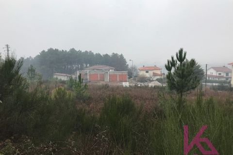 Terra a Sabrosa, Vila Real, Sabrosa - € 35.000 | Ref: 0910 - foto 3