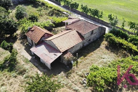 Landejendom i Amarante, Porto, Amarante - € 350.000 | Ref: 0974 - foto 4