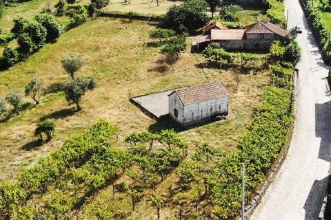 Landejendom i Amarante, Porto, Amarante - € 350.000 | Ref: 0974 - foto 5