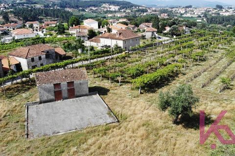Landejendom i Amarante, Porto, Amarante - € 350.000 | Ref: 0974 - foto 8