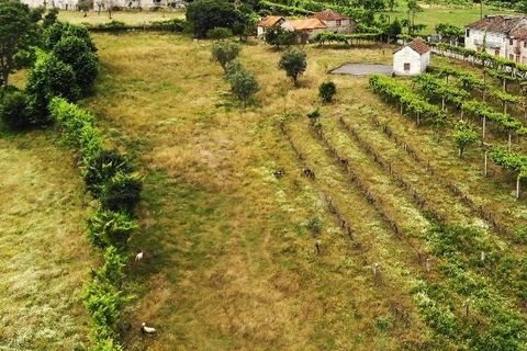 Landejendom i Amarante, Porto, Amarante - € 350.000 | Ref: 0974 - foto 12