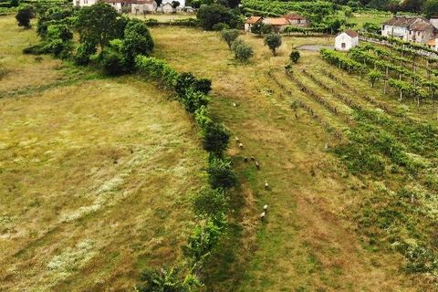 Landejendom i Amarante, Porto, Amarante - € 350.000 | Ref: 0974 - foto 14