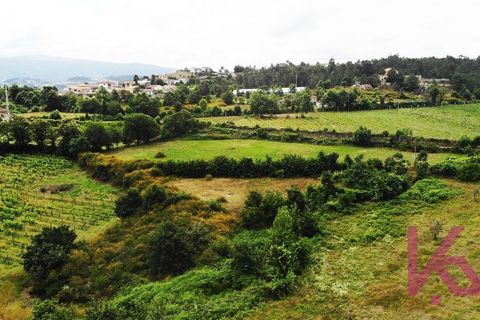 Landejendom i Amarante, Porto, Amarante - € 350.000 | Ref: 0974 - foto 15
