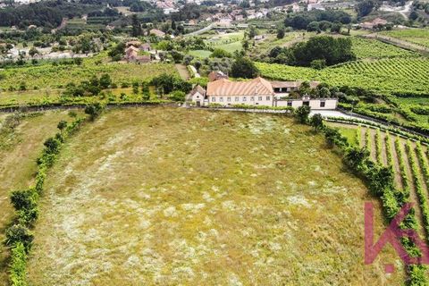 Landejendom i Amarante, Porto, Amarante - € 350.000 | Ref: 0974 - foto 19