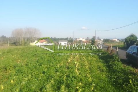 Tomt i Aveiro, Aveiro, Aveiro - € 90 000 | Ref: VEN-2698 - foto 4