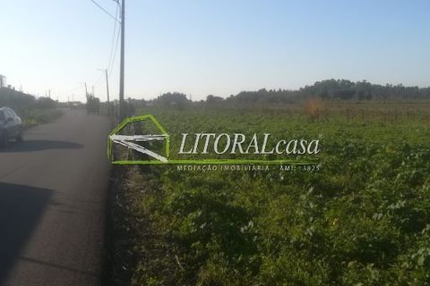 Tomt i Aveiro, Aveiro, Aveiro - € 90 000 | Ref: VEN-2698 - foto 5