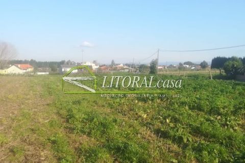 Tomt i Aveiro, Aveiro, Aveiro - € 90 000 | Ref: VEN-2698 - foto 7