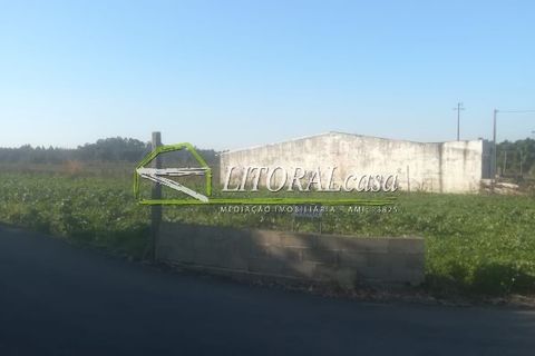 Tomt i Aveiro, Aveiro, Aveiro - € 90 000 | Ref: VEN-2698 - foto 8