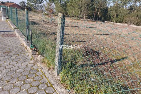 Helårsgrund i Oliveira do Bairro, Aveiro, Oliveira do Bairro - € 110.000 | Ref: VEN-3018 - foto 2