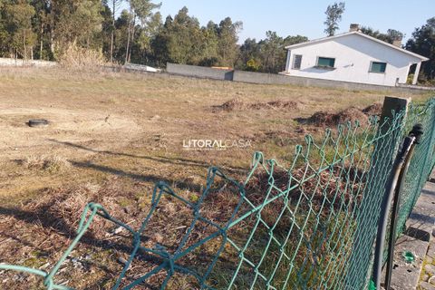 Helårsgrund i Oliveira do Bairro, Aveiro, Oliveira do Bairro - € 110.000 | Ref: VEN-3018 - foto 4