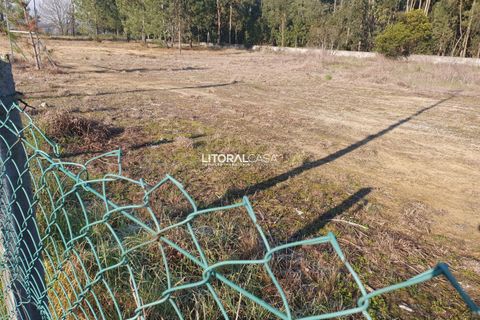 Helårsgrund i Oliveira do Bairro, Aveiro, Oliveira do Bairro - € 110.000 | Ref: VEN-3018 - foto 5