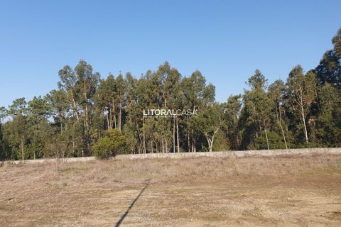 Helårsgrund i Oliveira do Bairro, Aveiro, Oliveira do Bairro - € 110.000 | Ref: VEN-3018 - foto 6
