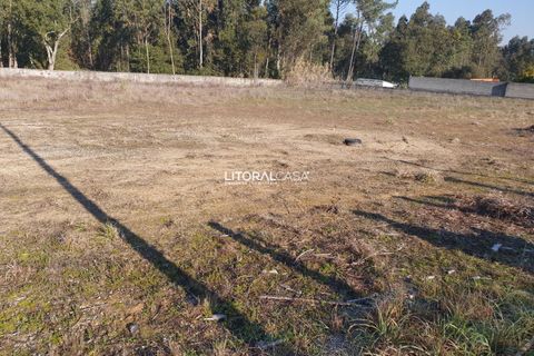 Helårsgrund i Oliveira do Bairro, Aveiro, Oliveira do Bairro - € 110.000 | Ref: VEN-3018 - foto 7