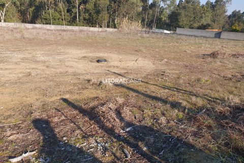 Helårsgrund i Oliveira do Bairro, Aveiro, Oliveira do Bairro - € 110.000 | Ref: VEN-3018 - foto 8