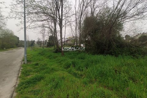 Helårsgrund i Agueda, Aveiro, Agueda - € 100.000 | Ref: VEN-3095 - foto 3