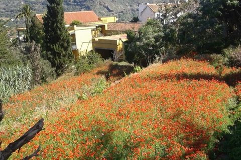 Finca i Santa Brigida, Gran Canaria, Santa Brigida - € 1 800 000 | Ref: 20441 - foto 10