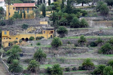 Finca i Santa Brigida, Gran Canaria, Santa Brigida - € 1 800 000 | Ref: 20441 - foto 13