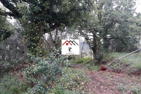 Helårsgrund i Coimbra, Coimbra, Coimbra - € 99.000 | Ref: V415PL - foto 2