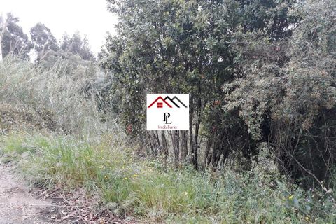 Helårsgrund i Coimbra, Coimbra, Coimbra - € 99.000 | Ref: V415PL - foto 4
