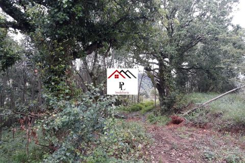 Helårsgrund i Coimbra, Coimbra, Coimbra - € 99.000 | Ref: V415PL - foto 5