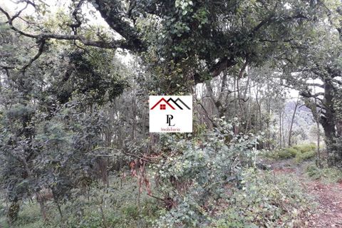 Helårsgrund i Coimbra, Coimbra, Coimbra - € 99.000 | Ref: V415PL - foto 6