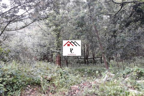 Helårsgrund i Coimbra, Coimbra, Coimbra - € 99.000 | Ref: V415PL - foto 7