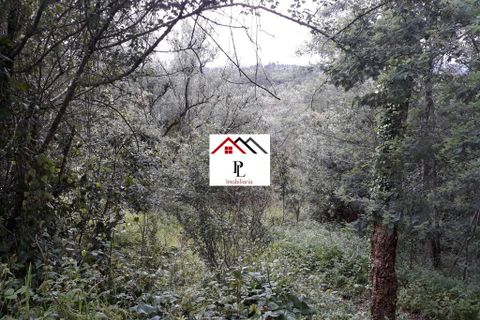 Helårsgrund i Coimbra, Coimbra, Coimbra - € 99.000 | Ref: V415PL - foto 8
