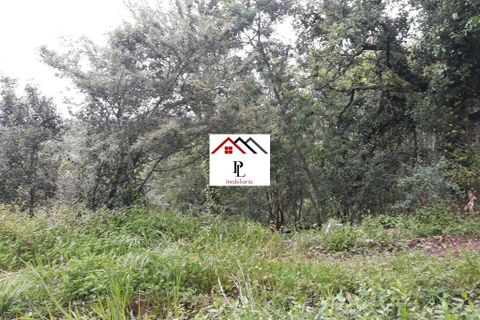 Helårsgrund i Coimbra, Coimbra, Coimbra - € 99.000 | Ref: V415PL - foto 9