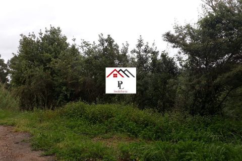 Helårsgrund i Coimbra, Coimbra, Coimbra - € 99.000 | Ref: V415PL - foto 10