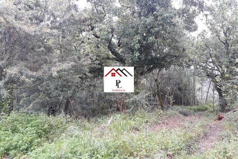 Helårsgrund i Coimbra, Coimbra, Coimbra - € 99.000 | Ref: V415PL - foto 11