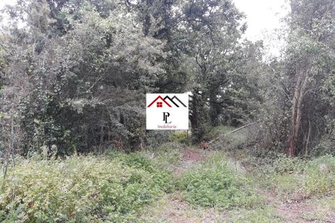 Helårsgrund i Coimbra, Coimbra, Coimbra - € 99.000 | Ref: V415PL - foto 12