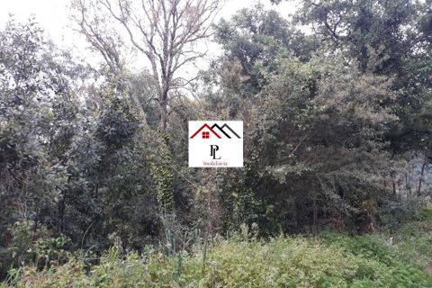 Helårsgrund i Coimbra, Coimbra, Coimbra - € 99.000 | Ref: V415PL - foto 13
