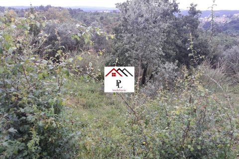 Helårsgrund i Coimbra, Coimbra, Coimbra - € 99.000 | Ref: V415PL - foto 14