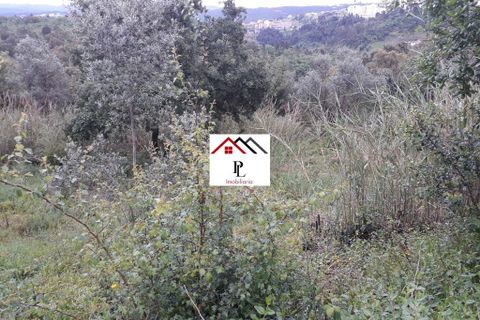 Helårsgrund i Coimbra, Coimbra, Coimbra - € 99.000 | Ref: V415PL - foto 15
