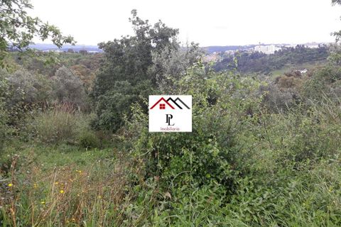 Helårsgrund i Coimbra, Coimbra, Coimbra - € 99.000 | Ref: V415PL - foto 16